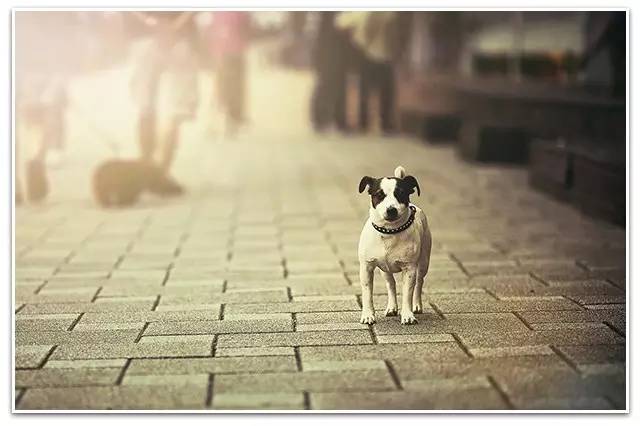 小钱频道｜全球股市噩梦初醒亚太股市“猴”来运转