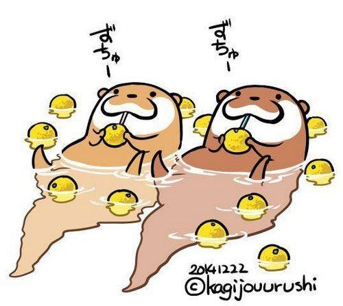 熬夜复习?背书?还是睡觉有用