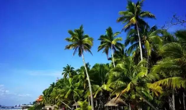 海南环线旅游攻略必去景点推荐,海南旅游攻略必去景点推荐日月湾