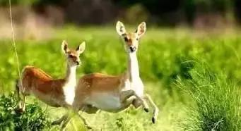 海南环线旅游攻略必去景点推荐,海南旅游攻略必去景点推荐日月湾