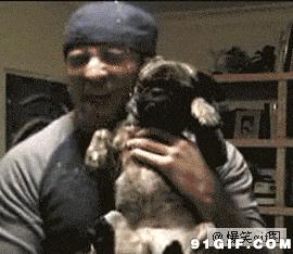 别人家狗尿我身上有什么说法,兽医谈狗尿