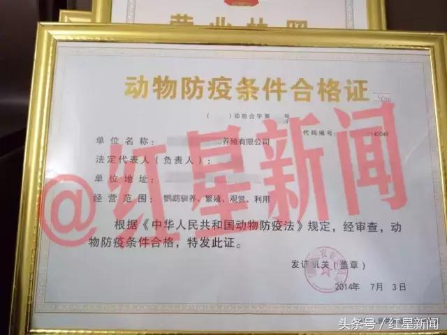 养鹦鹉被判刑的有多少,卖鸟被判10年