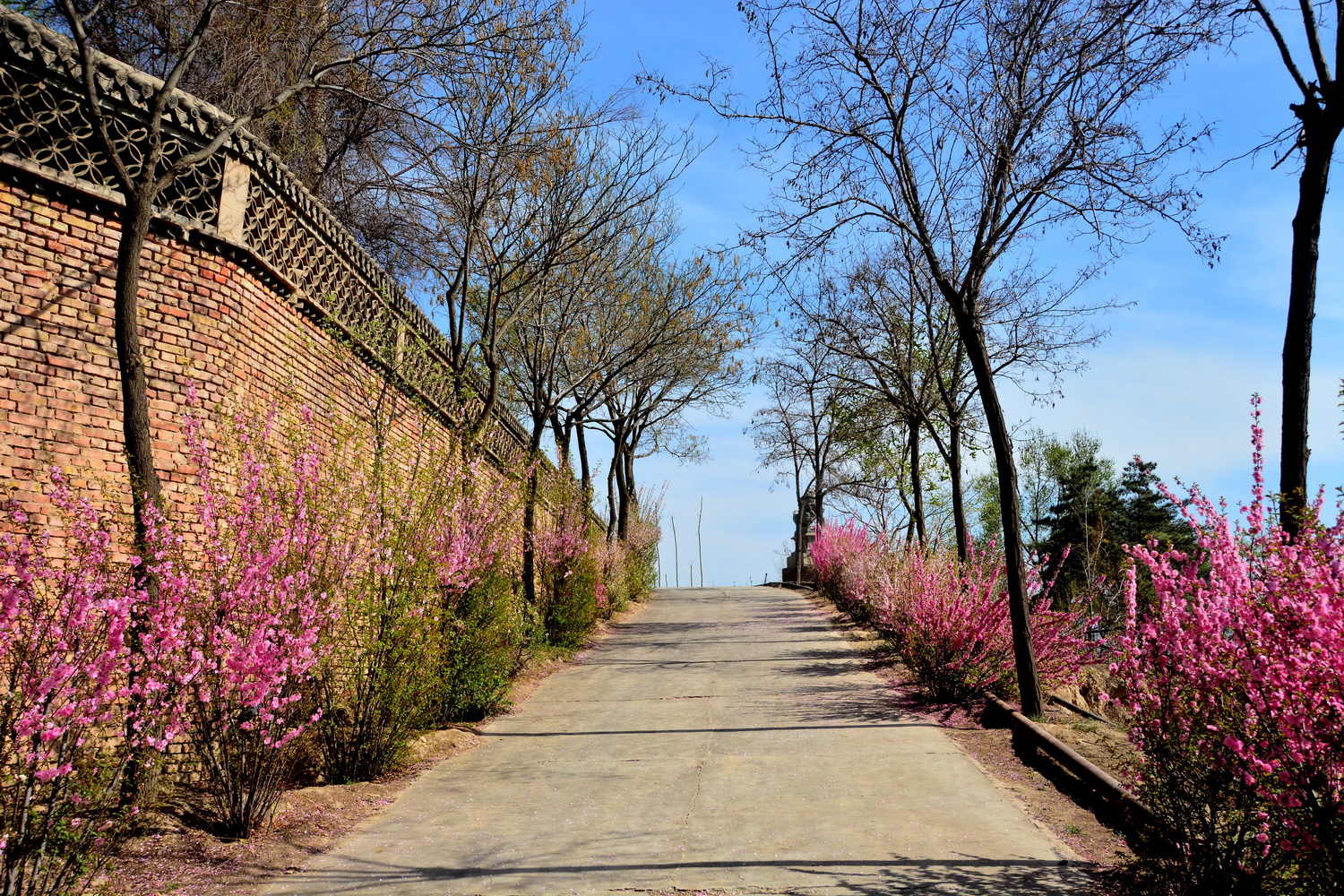 兰山公园在皋兰山上吗,站在兰山看风景