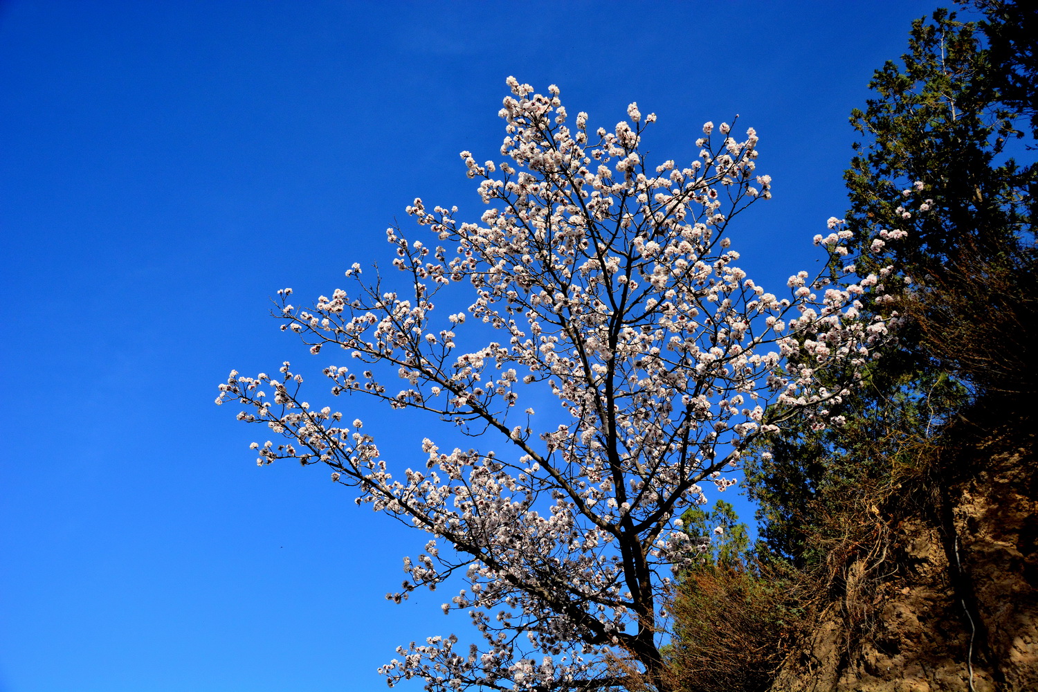 兰山公园在皋兰山上吗,站在兰山看风景