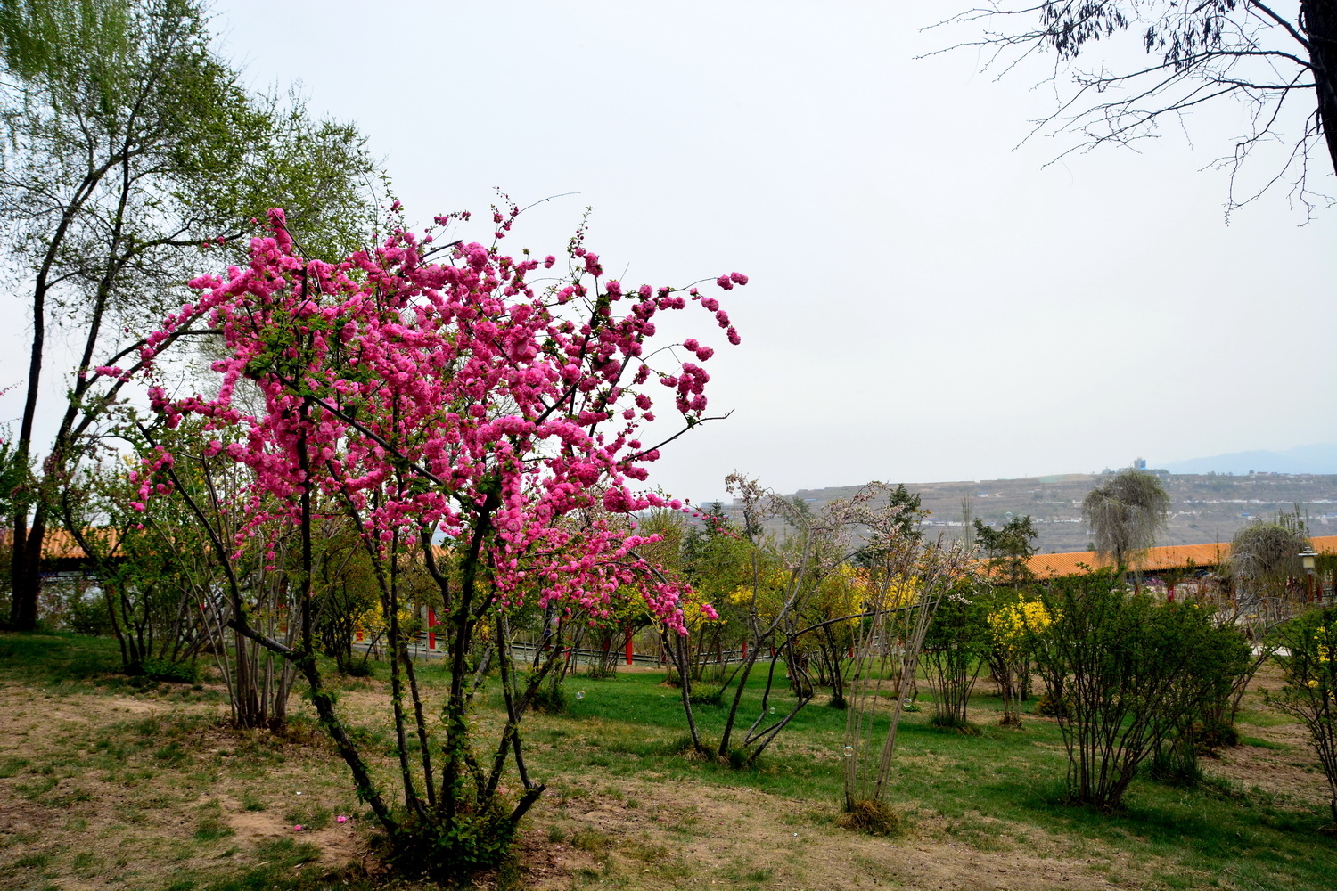兰山公园在皋兰山上吗,站在兰山看风景