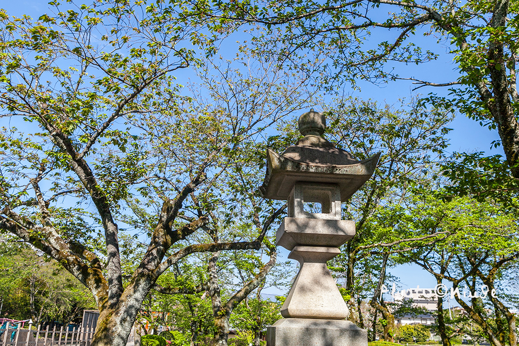 空姐在东京旅游,跟着游东京