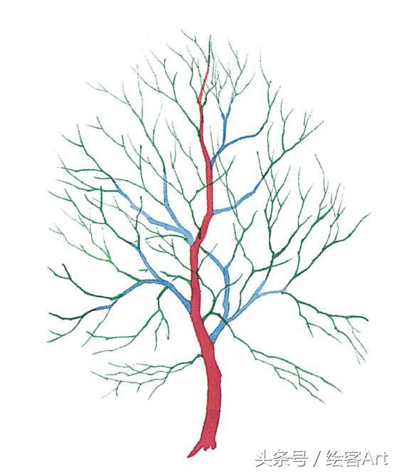 从一片树叶到一片树林,大树的树干画法步骤