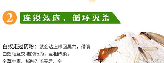 白蚁药的正确使用办法,拜耳白蚁药使用方法