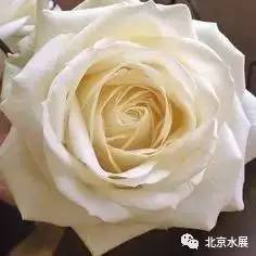 全球顶级水处理展会,广东国际水处理技术与设备展览会