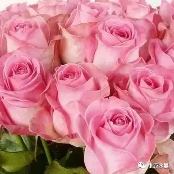 全球顶级水处理展会,广东国际水处理技术与设备展览会