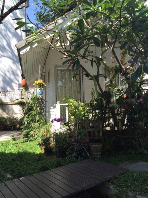 带你一起泰国旅游,清迈普吉自由行