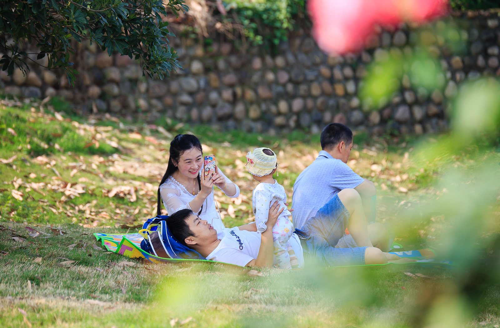 杨梅小镇简介,杨梅小镇的杨梅几月成熟