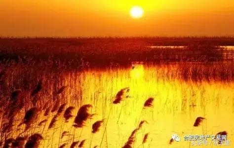 巢湖环湖大道景点,环湖大道巢湖全段