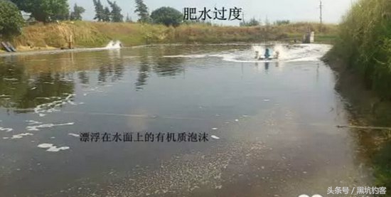 水质太肥怎么钓鱼,水质偏肥该如何垂钓