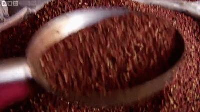 听说你们四川人有种毒,服下会有种不可描述的肉麻