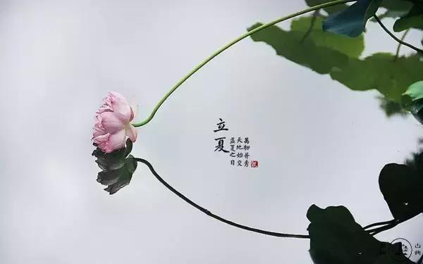 今日立夏告别春天迎来夏天,今日立夏完整版