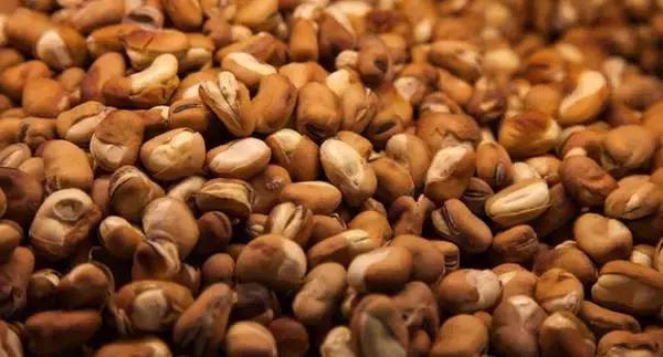 钓鱼时如何选用饵料味型,钓鱼饵料味型重要还是状态重要