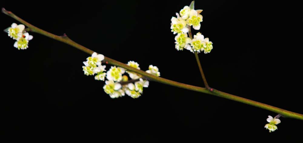 检查出来慢性非萎缩性胃炎严重吗,检查到浅表性胃炎严重吗