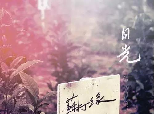 有哪些歌最打动你,哪些歌词打动人心