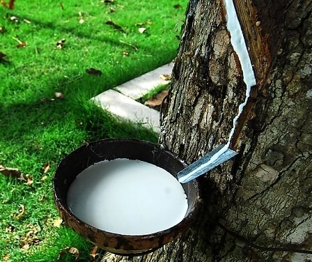 泰国乳胶枕都是中国制造吗,泰国购买的乳胶枕是中国造的吗