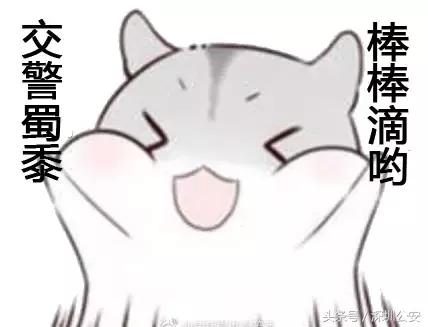 突降暴雨交警蜀黍都在忙些啥,天降暴雨交警视频