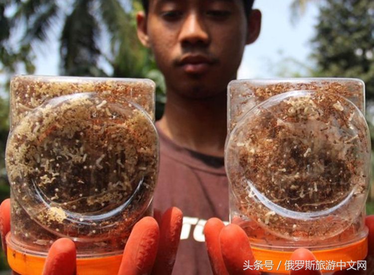 世界级六大奇葩黑暗美食,全球顶级暗黑美食