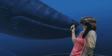 vr眼镜虚拟世界对人类的影响,虚拟vr眼镜