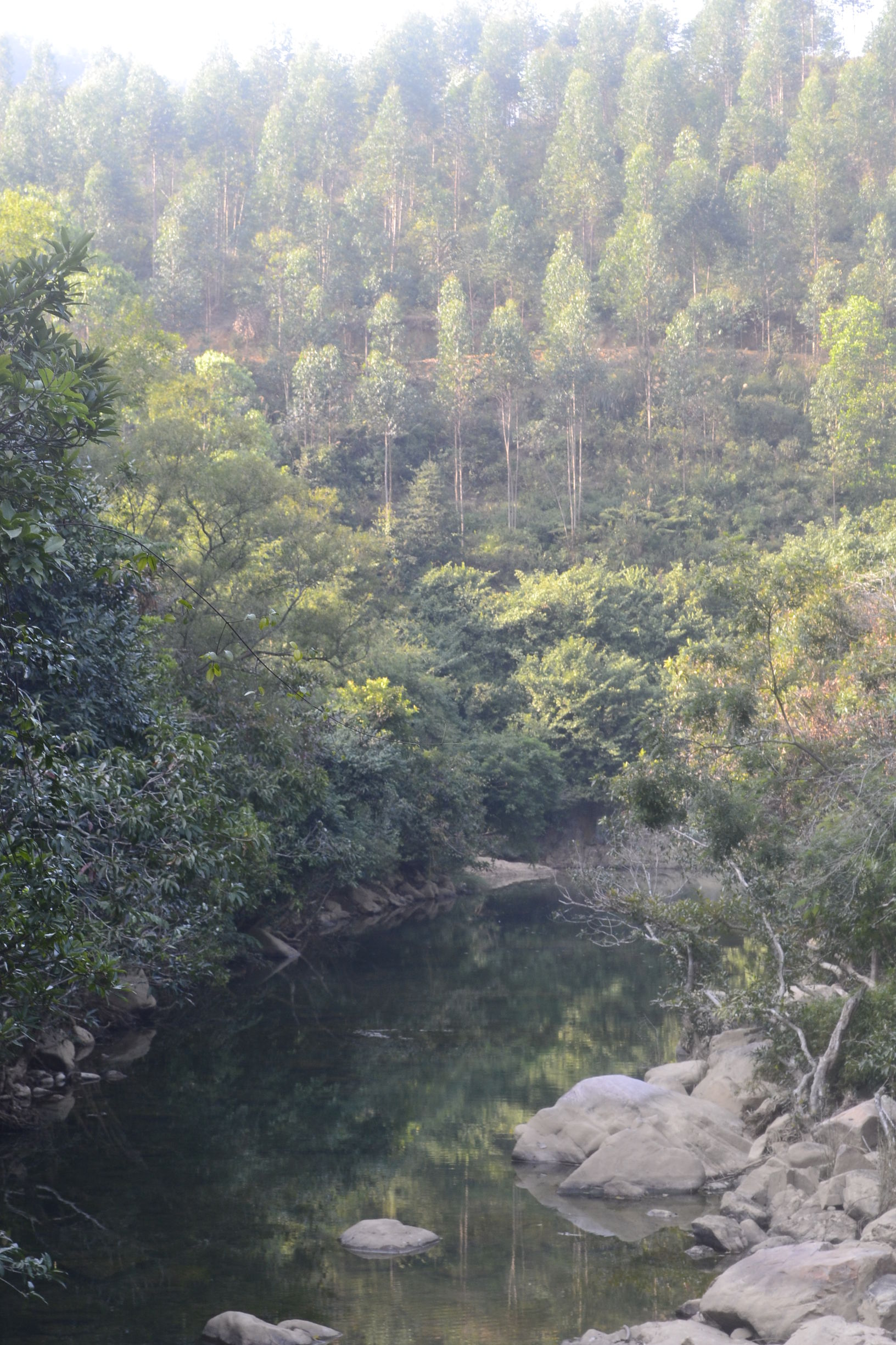 珠海周边游6——峡里飞出水凤凰，安家成了“小九寨”