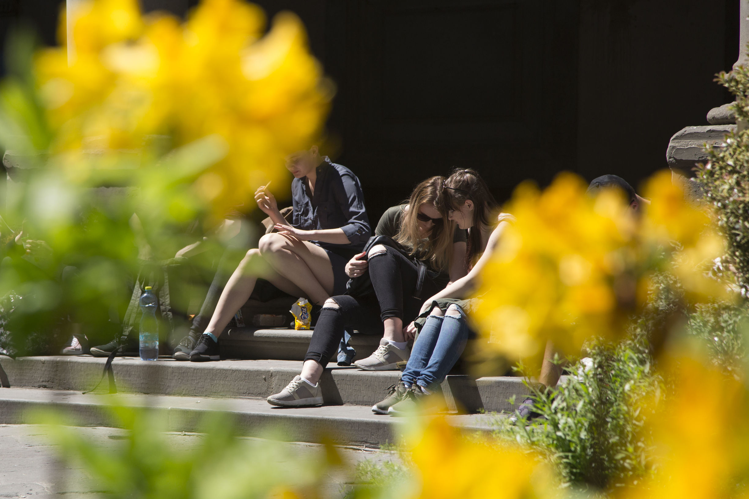 在这每天约起“小苹果”，估计你得先交论文“广场舞与广场文化”