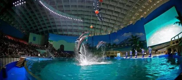 地铁8号线全线开通了吗,地铁8号线是什么时候开通的