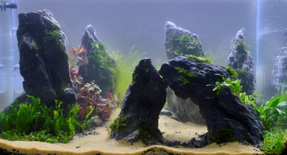 英孚教育一对一的价格是多少,3w元的英孚课程