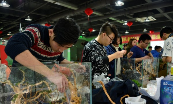 英孚教育一对一的价格是多少,3w元的英孚课程