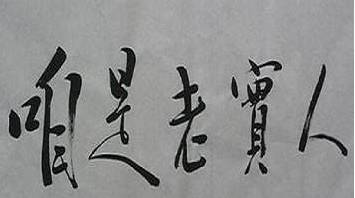 母荷兰猪可以做绝育手术吗,两只不同的荷兰猪可以绝育吗