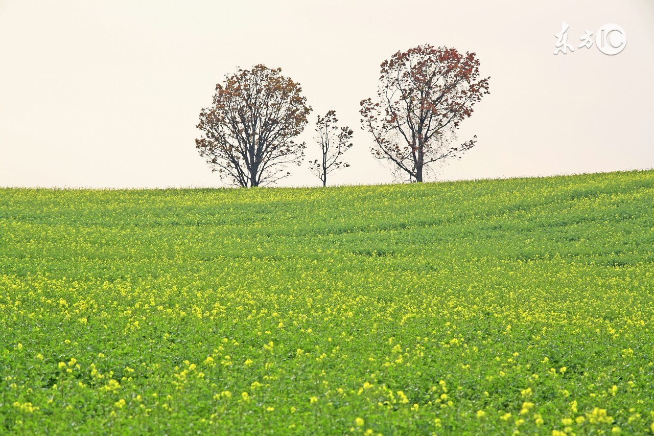 你的五行属性,你的五行属什么