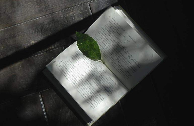 店门外捡个儿子，七年后得到孩子生父线索，他把儿子归还给人家