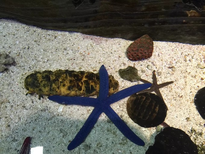 一个人穷游中国迪拜游记,迪拜穷游自由行攻略