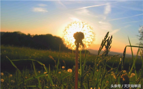 生活简单美好的句子发朋友圈说说,生活努力忙碌励志句子发朋友圈