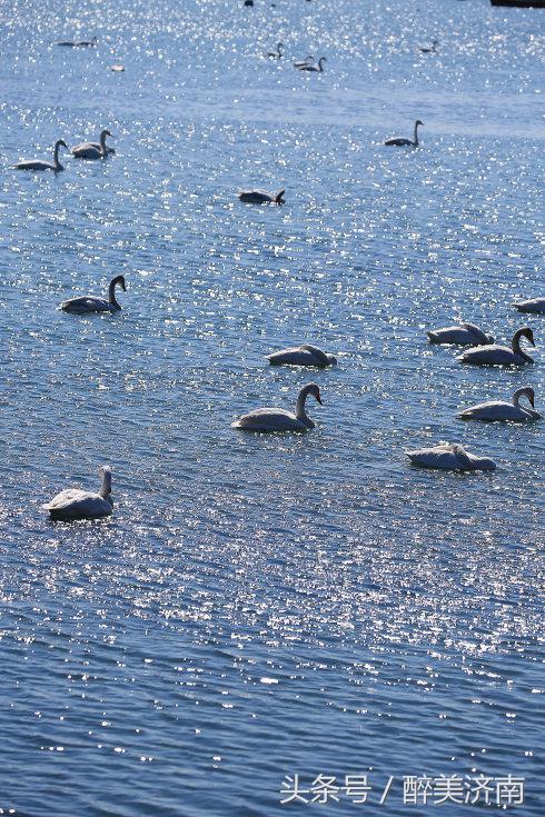 实拍:被俄罗斯美女帅哥酷爱的中国房车是什么样子