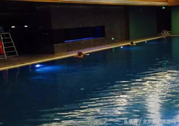 优质游泳馆推荐,游泳馆清凉一夏
