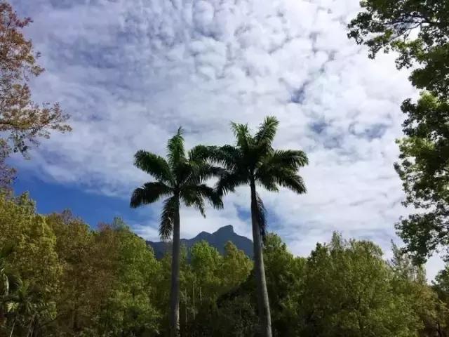 海南环线旅游攻略必去景点推荐,海南旅游攻略必去景点推荐日月湾