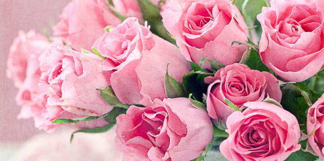 香水的学问,香水趣味知识