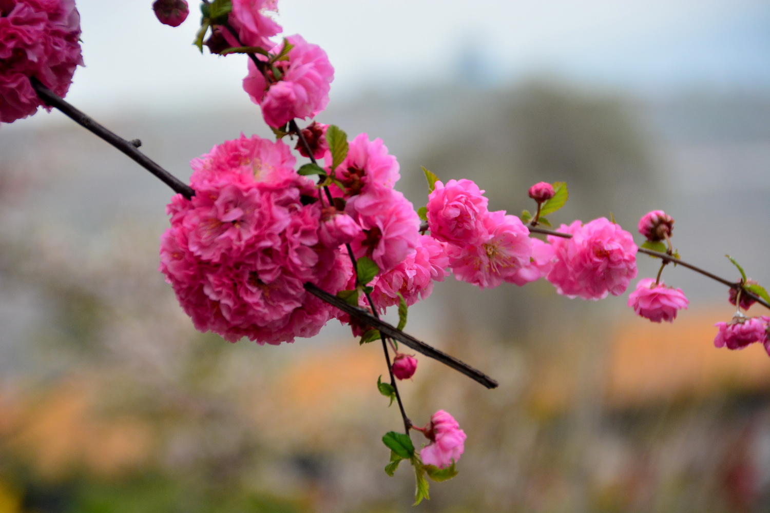 兰山公园在皋兰山上吗,站在兰山看风景