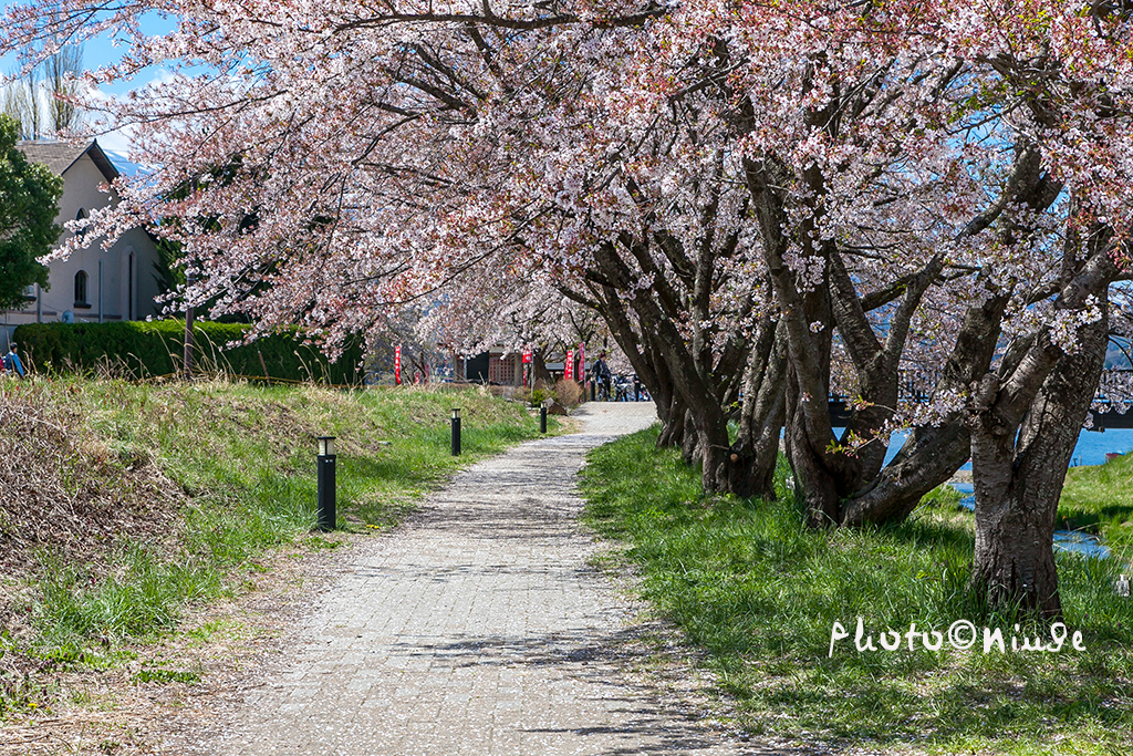 空姐在东京旅游,跟着游东京