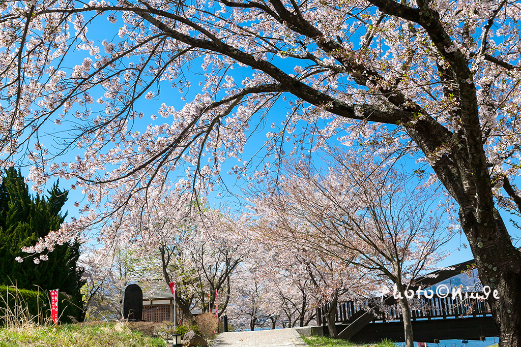 空姐在东京旅游,跟着游东京