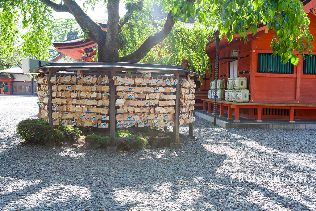 空姐在东京旅游,跟着游东京