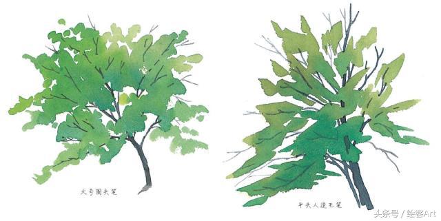 从一片树叶到一片树林,大树的树干画法步骤