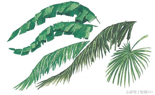 从一片树叶到一片树林,大树的树干画法步骤