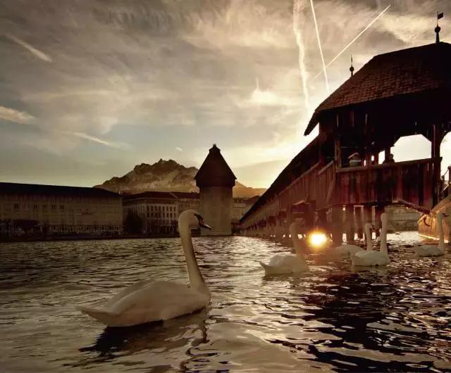 瑞士1903手表,1886年瑞士腕表