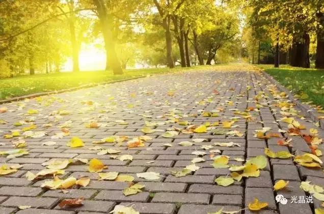 GJSAY光晶说：教你手淘首页原理和流量*破爆**玩法！