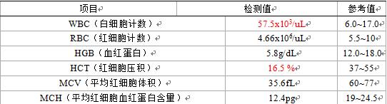 母猫乳腺肿块怎么治疗好,乳腺肿瘤最新研究结果